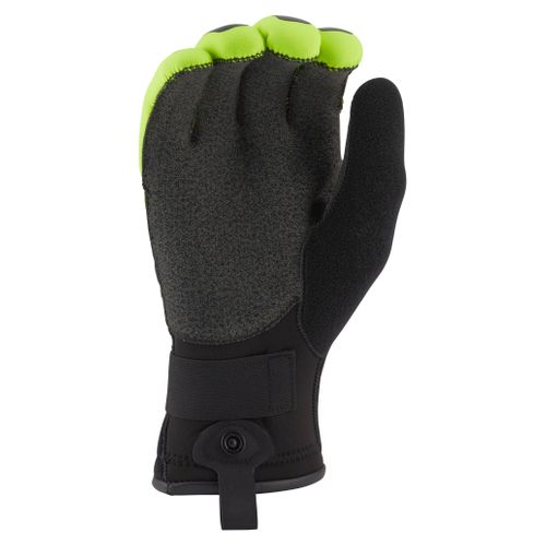 NRS25032_03_HiViz_na_Palm.jpg